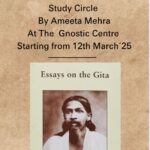 Essays on the Gita