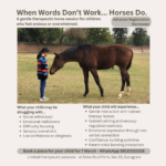 Horse as a Mirror of Connection